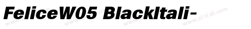 FeliceW05 BlackItali字体转换